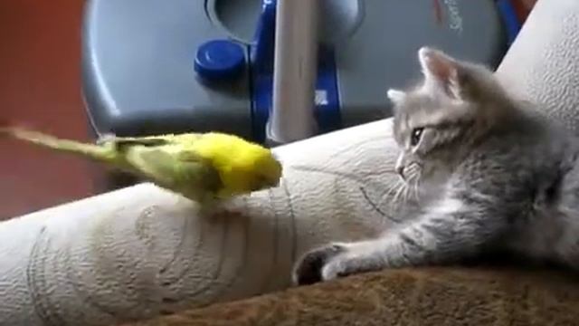 Достал!!! смотреть онлайн