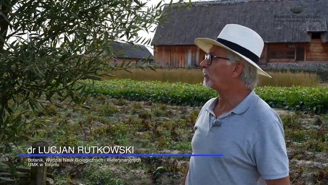 Olędrzy w krajobrazie Doliny Dolnej Wisły смотреть онлайн