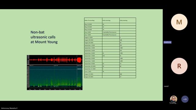 A genetically distinct native northern flying squirrel population in San Juan Island NHP смотреть онлайн