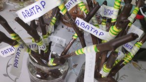 Зимняя прививка винограда на столе