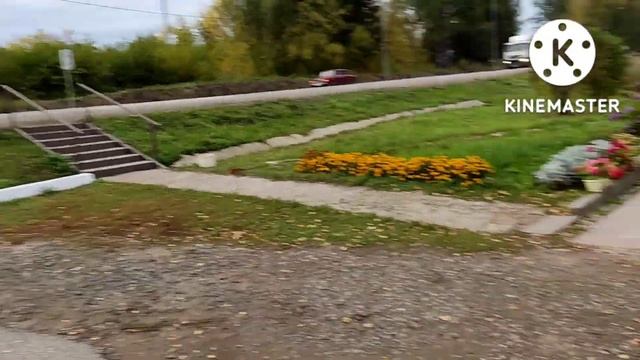Голодную замерзающую кошку забрали домой. смотреть онлайн