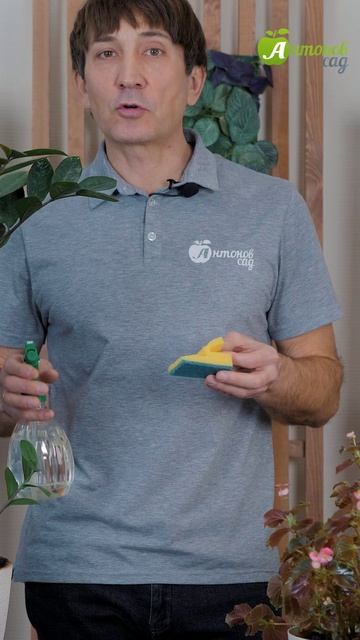 Как прорастить семена на рассаду? смотреть онлайн