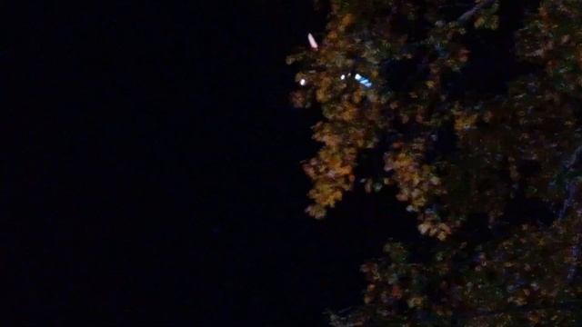 НОВИНКА!) Boeing 737-900ER "Rossiya Airlines" "RA-73484" посадка в Шереметьево SVO. смотреть онлайн