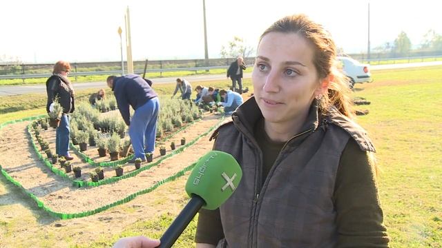 Ménfőcsanak virágos színfoltja смотреть онлайн