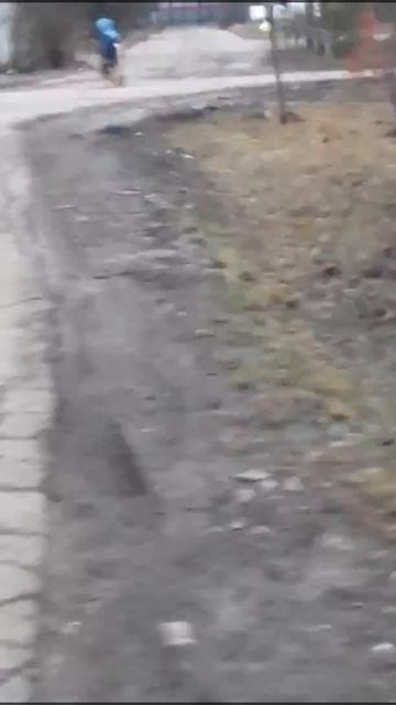 Собаки бегут и пугают женщину смотреть онлайн