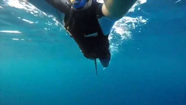 SEABIKING смотреть онлайн