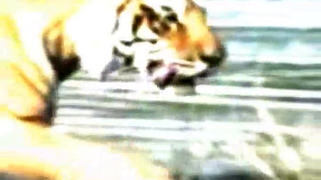 sopla otra vez video смотреть онлайн