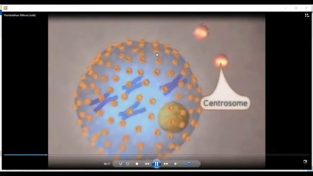 Pembelahan Mitosis dan Meiosis смотреть онлайн