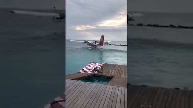 Прощай ,любимый остров! январь 2019 г смотреть онлайн