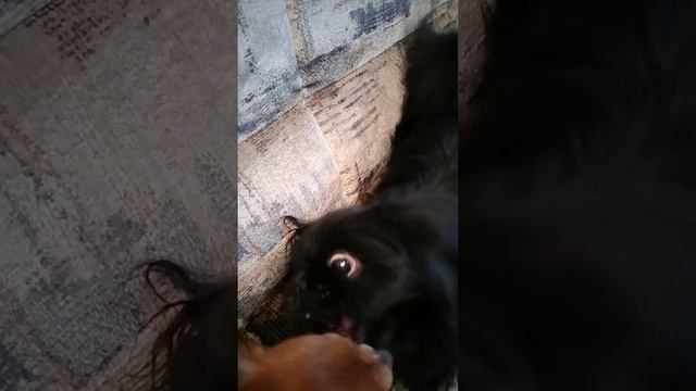 играем утром смотреть онлайн