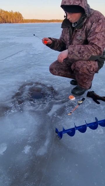 Из одной лунки мешок окуней,такое может быть только на северах. смотреть онлайн