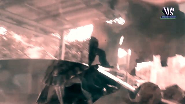 Sepasang Kura-kura BRAZIL /trachemys scripta elegans смотреть онлайн