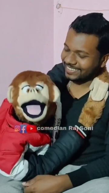 #sort #sort #viral #video #youtube #funny #monkey #animals смотреть онлайн