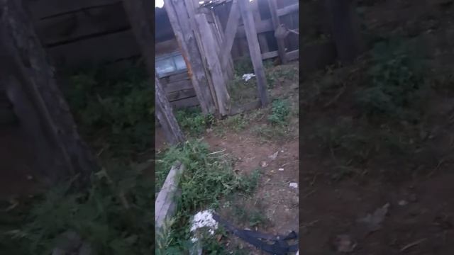 дом школьника часть 1 смотреть онлайн