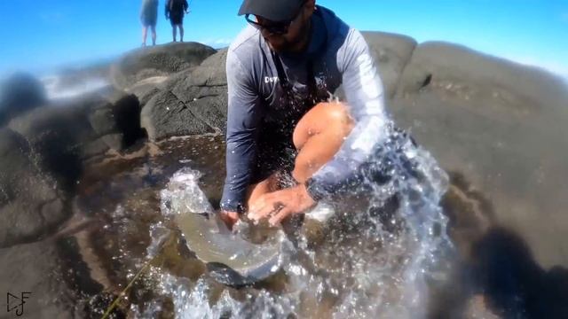 Targeting Kob and Garrick on Lure at Mazeppa Bay // Part 1 смотреть онлайн