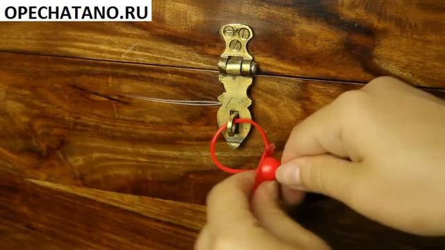 Номерная пластиковая пломба ОСА смотреть онлайн