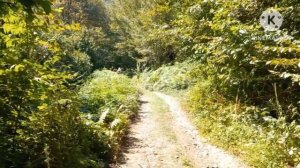 Сочи.Село МЕДОВЕЕВКА.Прощание с летом.