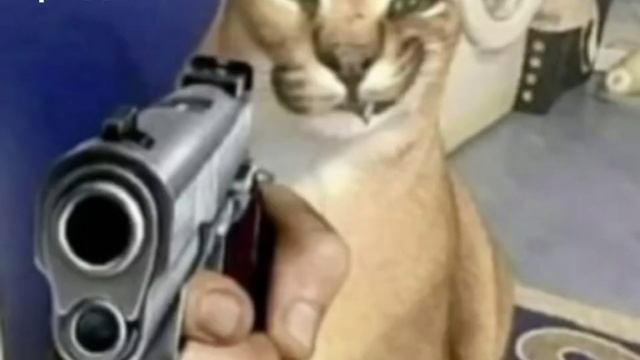 без слов просто ШЛЁПА смотреть онлайн