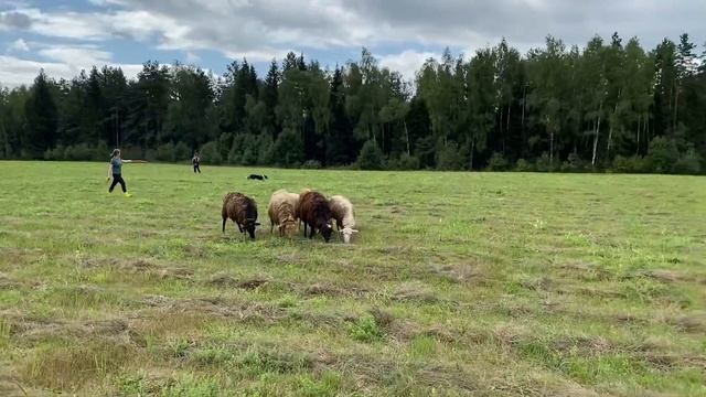 Лагерь с Катей. Август 2021. 2 день, оба подхода смотреть онлайн