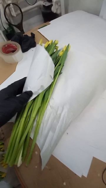 тюльпаны смотреть онлайн