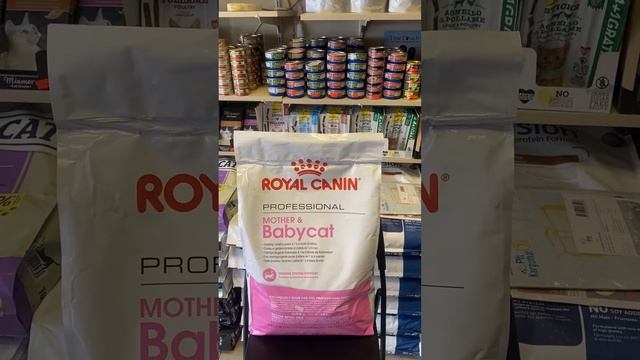 Royal Canin Mother BabyCat Anne ve Yavru Kedi Mamasi Paket Acilisi смотреть онлайн