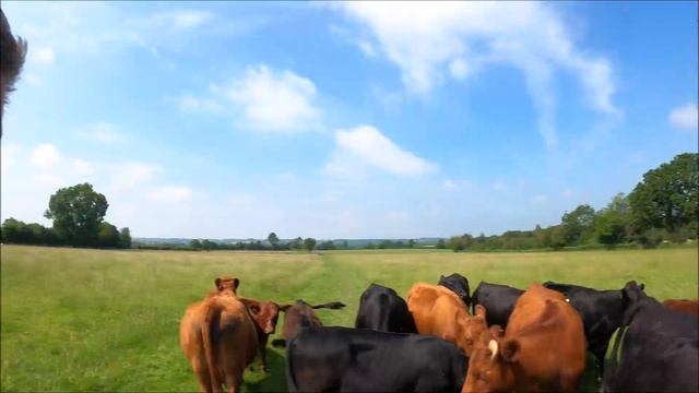 Owning up to getting it wrong! 30 06 21 смотреть онлайн