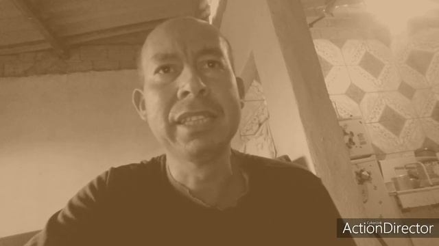 Ancestrais primitivos tubarões. смотреть онлайн