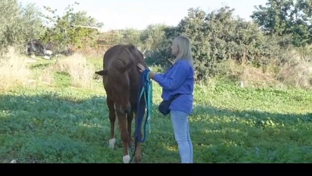 Дикарка Нефелли, первые навыки. смотреть онлайн