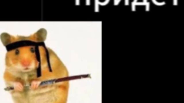 Хомяк Самурай придёт смотреть онлайн