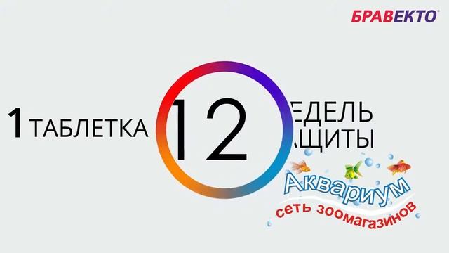 Аквариум Боретто 6 с смотреть онлайн