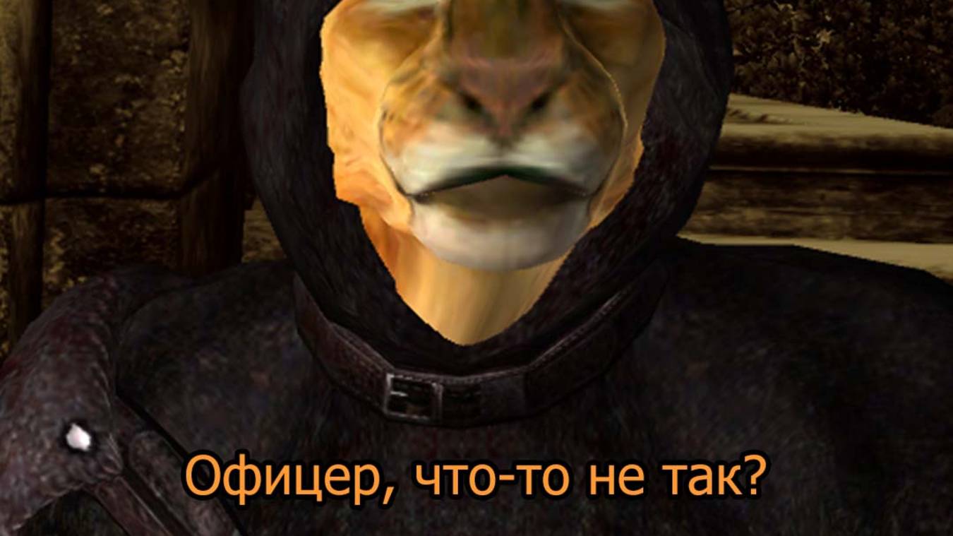 Приключения кота Купидоши в The elder scrols IV Oblivion 1 Сезон 1 Серия Побег с Темницы смотреть онлайн