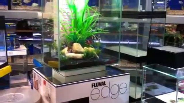 Fluval edge смотреть онлайн