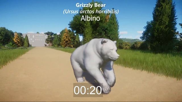 Bears Category Speed Races in Planet Zoo included Polar Bear, Sun Bear, Grizzly Bear, Panda & etc смотреть онлайн