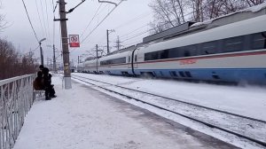 «Красавец!» «Сапсан» следует через Тверь на Санкт-Петербург