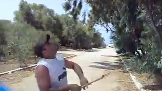 Guercini Angela alla ricerca del Koala Tunisino смотреть онлайн