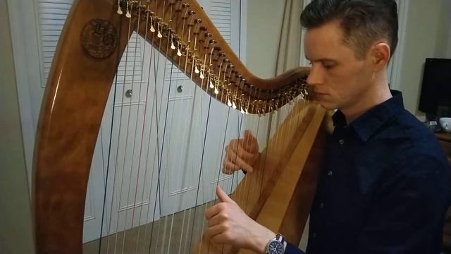 The Grenadier and the Lady - Celtic Harp смотреть онлайн