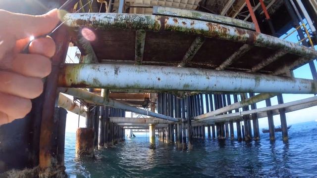 Quick Catches At The Oil Rigs (Long Beach Fishing) смотреть онлайн