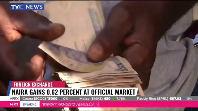 Naira Gains 0.62 Percent At Official Market смотреть онлайн