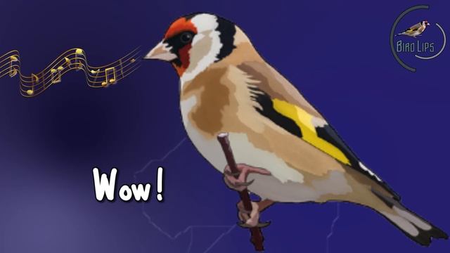 GoldFinch One Hour Song смотреть онлайн