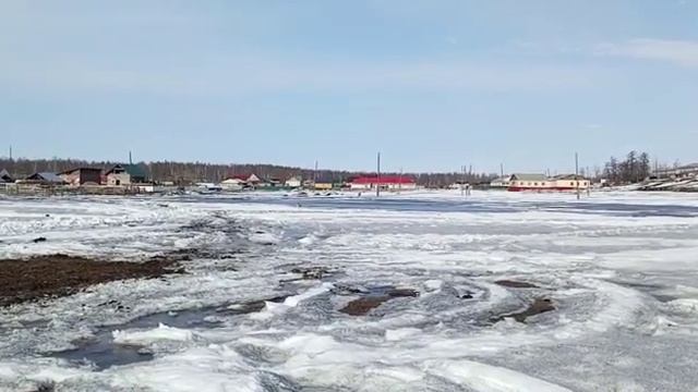 Одинокий гусь в поселке смотреть онлайн