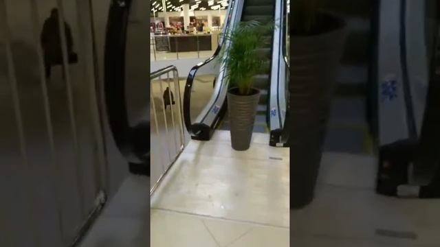 KrumDozor #2 - ТЦ Панорама (расширенная версия) смотреть онлайн