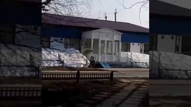 Где я живу? Наш посёлок. Рита смотреть онлайн