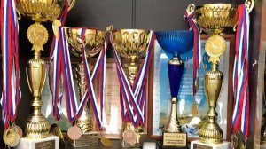 Питомник спортивных голубей. Подмосковье, деревня Лапино.