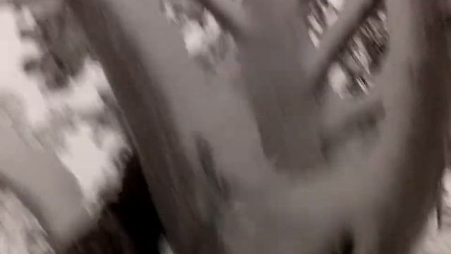 если б мишки были пчелами.. смотреть онлайн