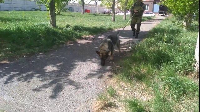 след в городе L & S Varta смотреть онлайн