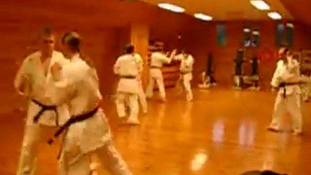 sai,sword,karate,kyokushin,wushu,kungfu,martial arts,weapon, смотреть онлайн
