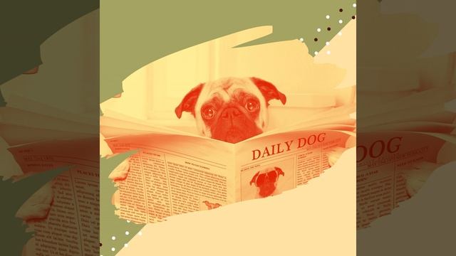 Моменты (Выгул собак) смотреть онлайн