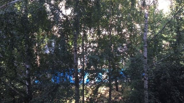 Чудная ворона смотреть онлайн