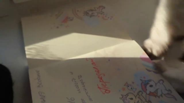кошачья школа смотреть онлайн