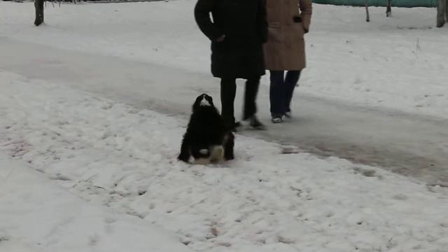 MVI 1995 смотреть онлайн